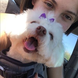 Meet your Posher, Taylor